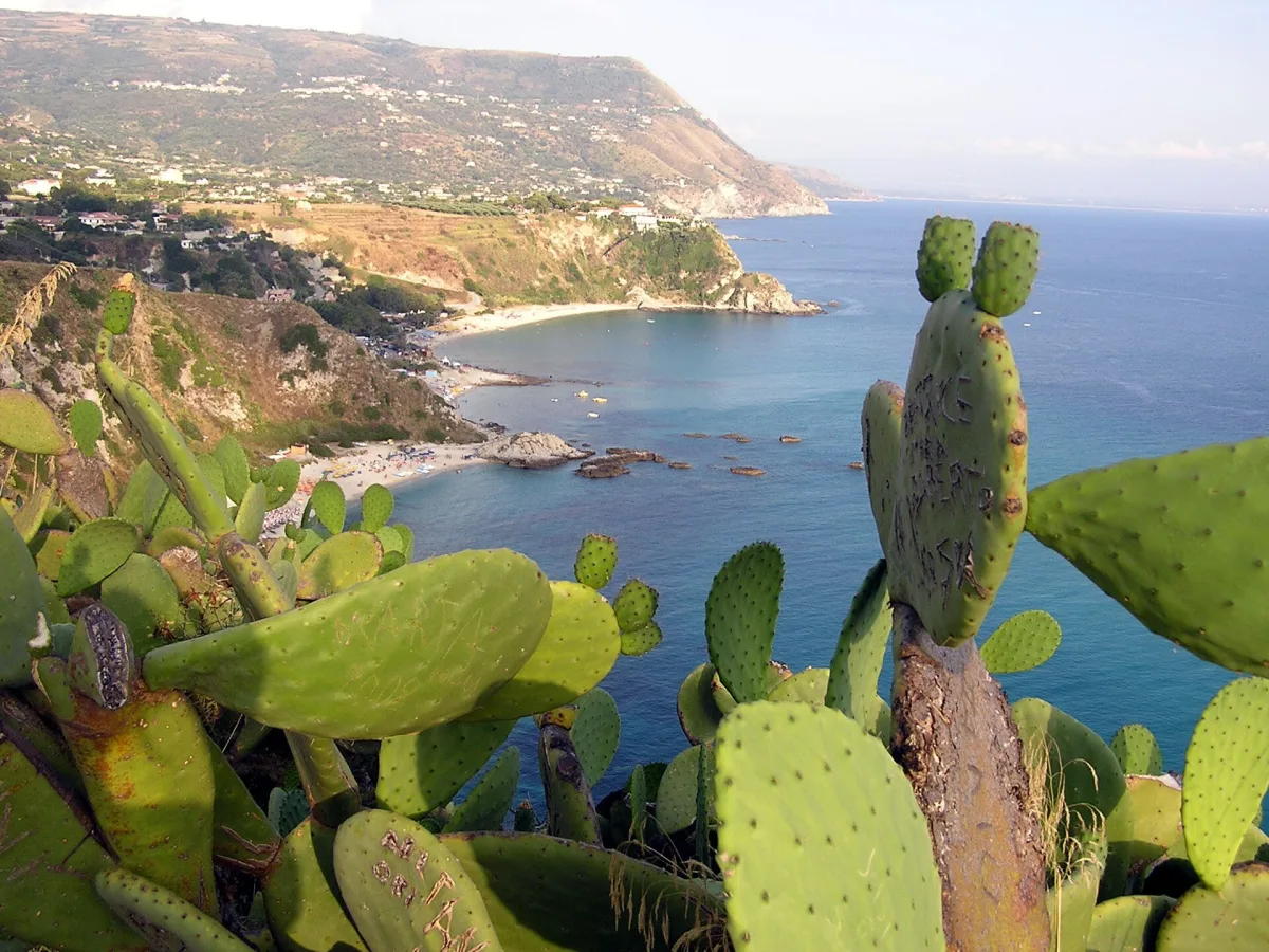 Feste ed Eventi a Capo Vaticano: Un Viaggio tra Tradizioni e Cultura