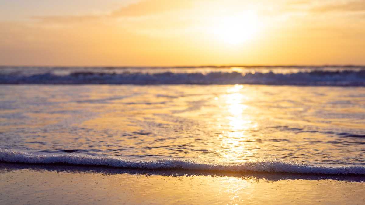 Le Spiagge Più Belle di Capo Vaticano: Un Paradiso da Scoprire