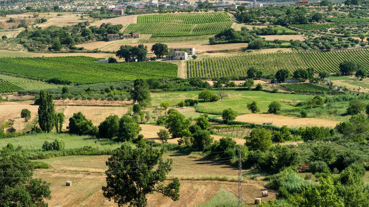 Scopri Castrovillari: Musei, Parchi e Gite Fuori Porta