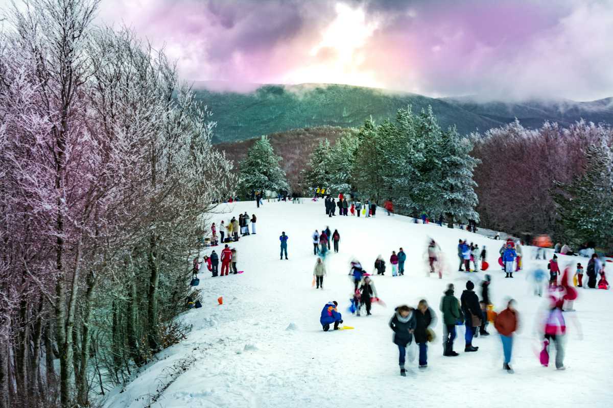Panorama di Camigliatello Silano con laghi e boschi, ideale per evidenziare la bellezza naturale della zona