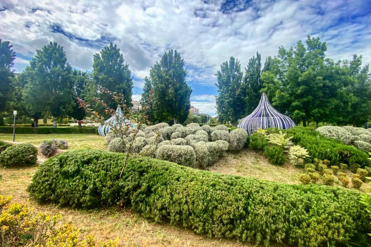 Ritratto del Parco della Biodiversità Mediterranea con vista su Cosenza