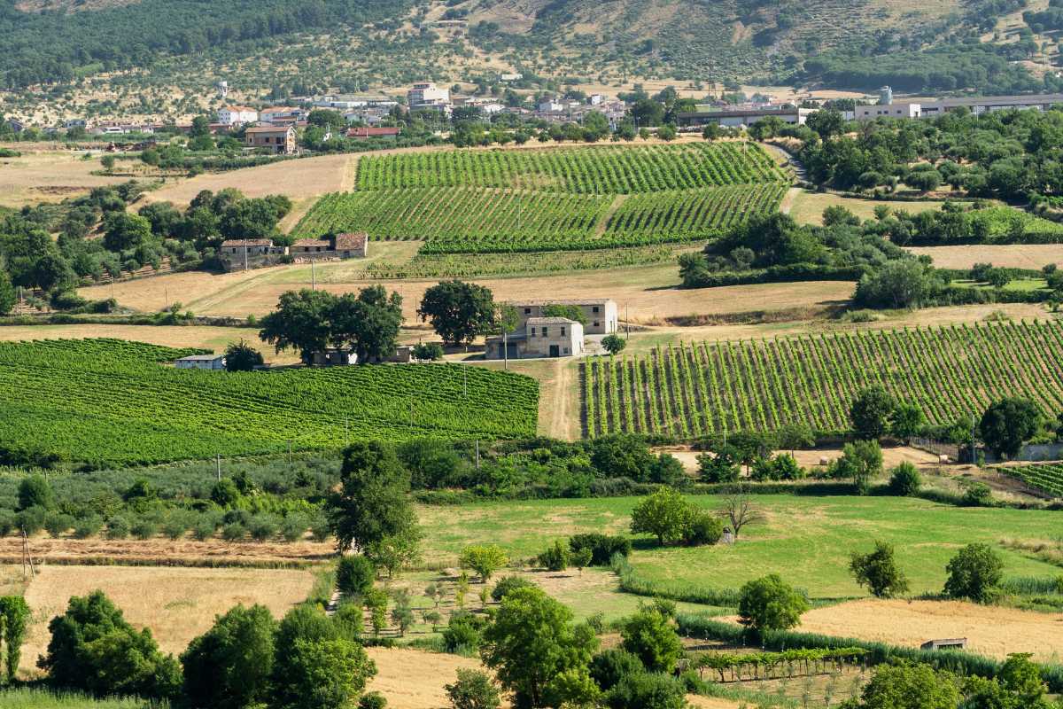 Vista panoramica di Castrovillari con le montagne del Pollino sullo sfondo